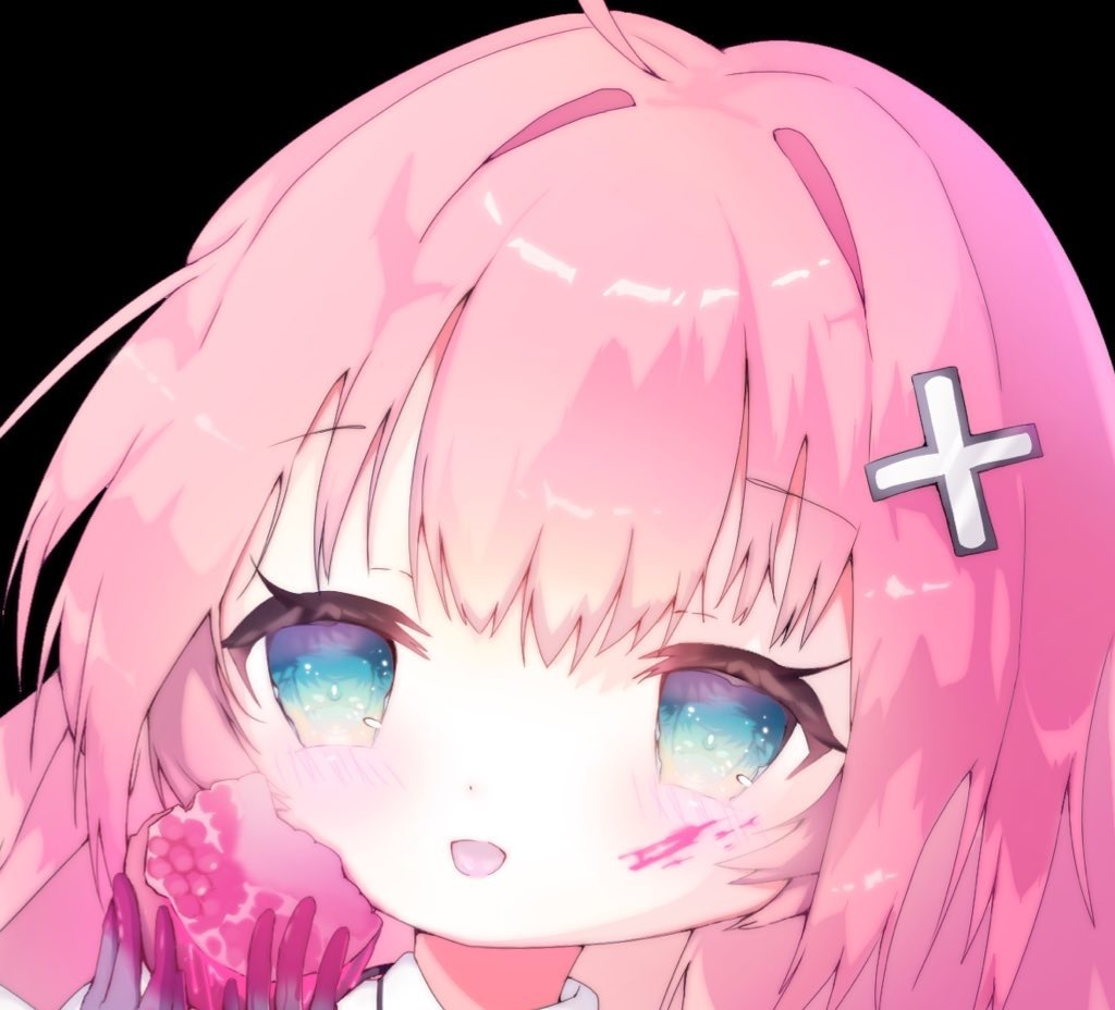 砂糖乙女ネットショップ 砂糖乙女ネットショップ