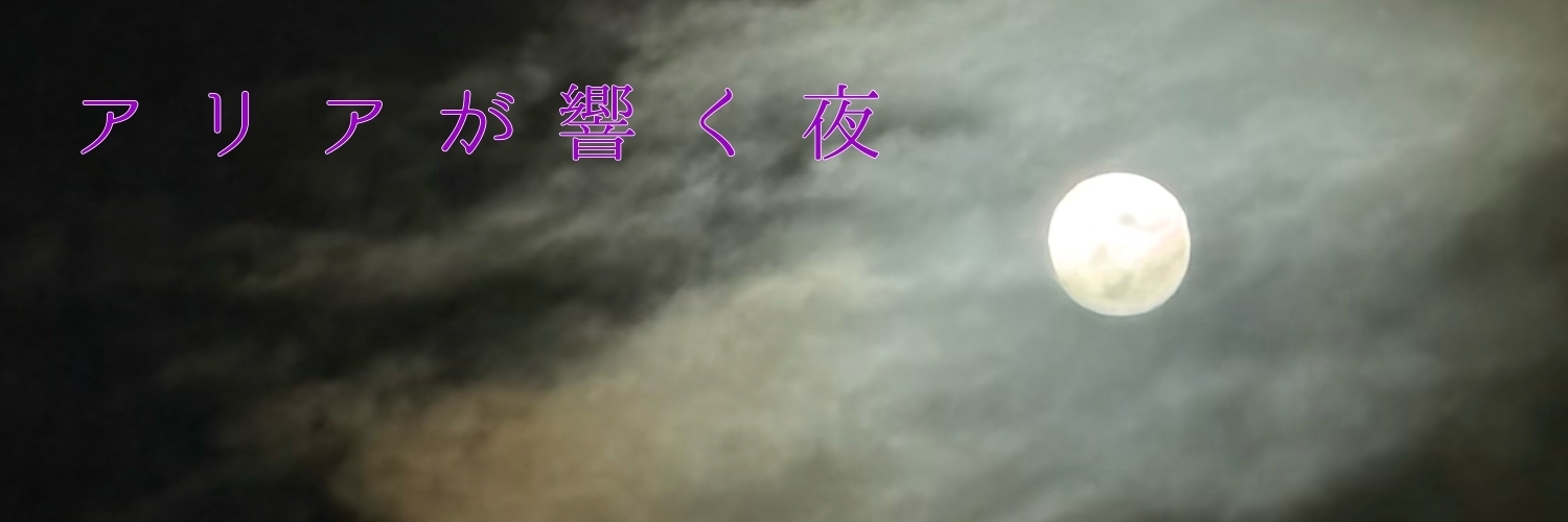 アリアが響く夜