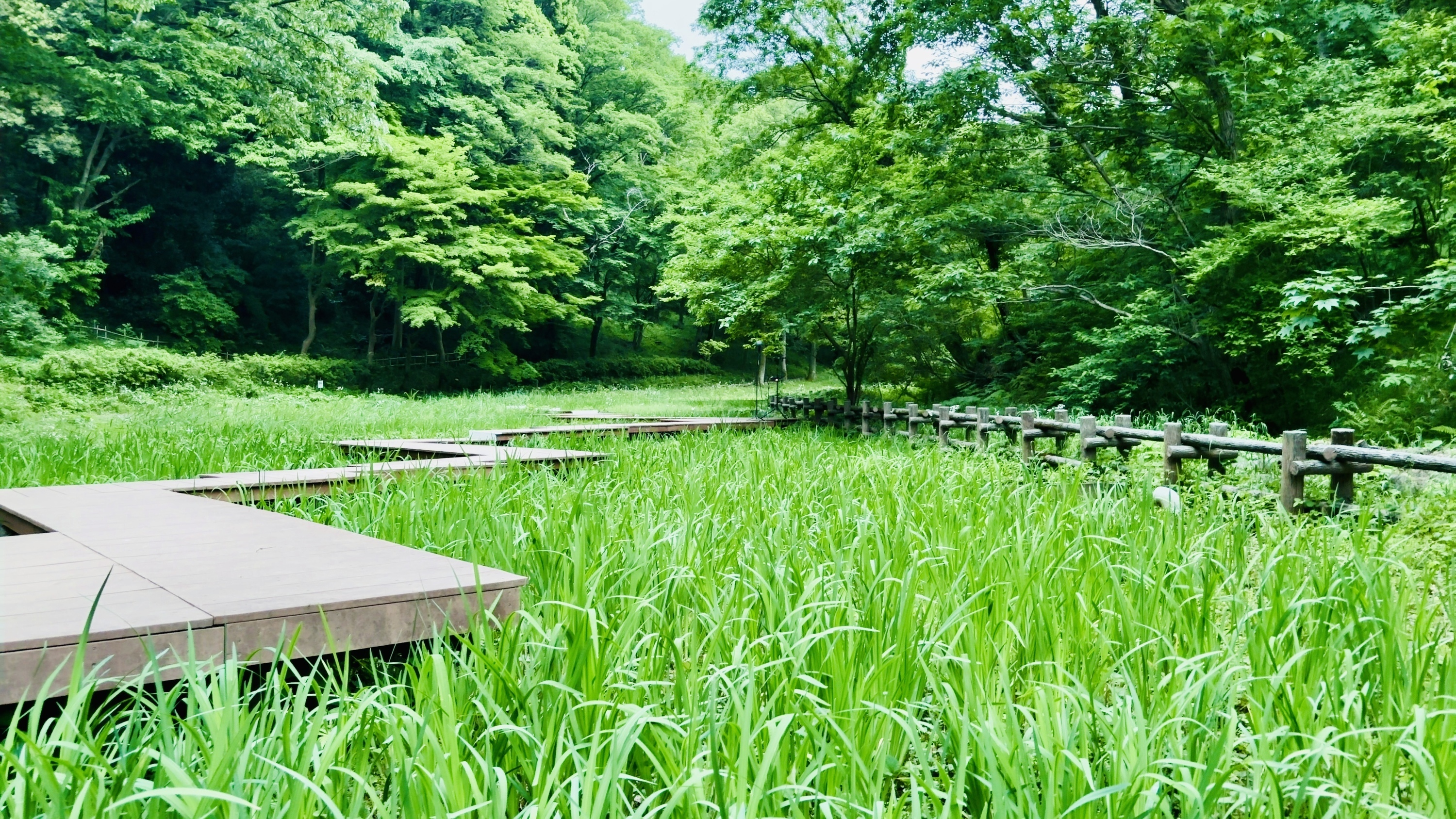 Nature Sound Effect : miduno