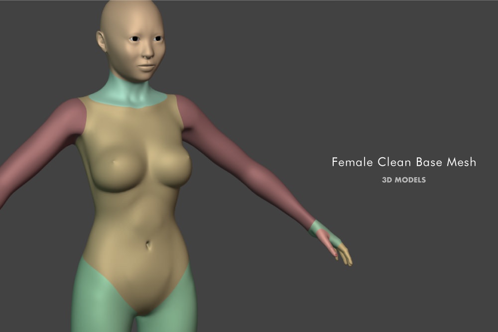 3dモデル Female Clean Base Mesh クリーンな女性のベースメッシュ Nori7023 Booth