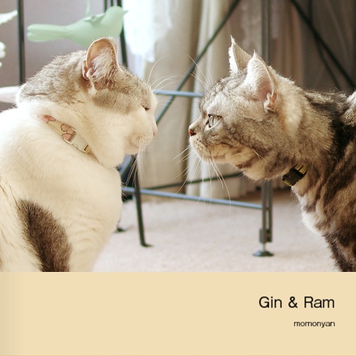 『Gin & Ram』