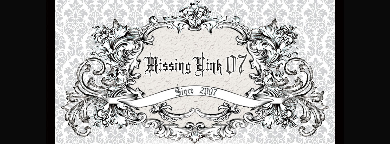 Missinglink07
