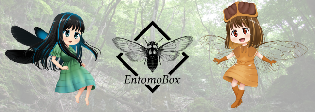 EntomoBox