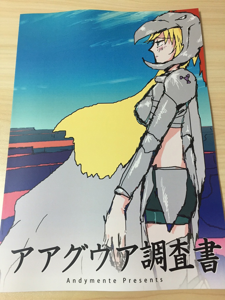 冊子『アアグウア調査書』