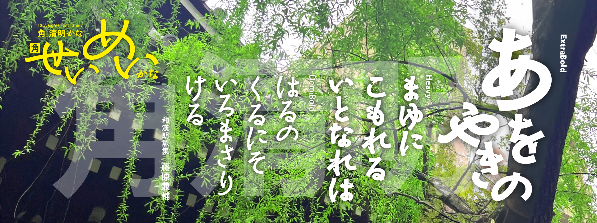 REN FONT