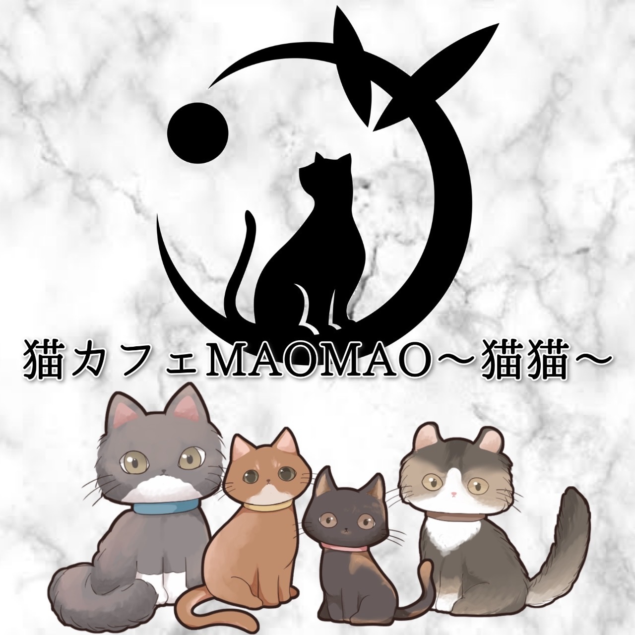 猫カフェMAOMAO〜猫猫〜