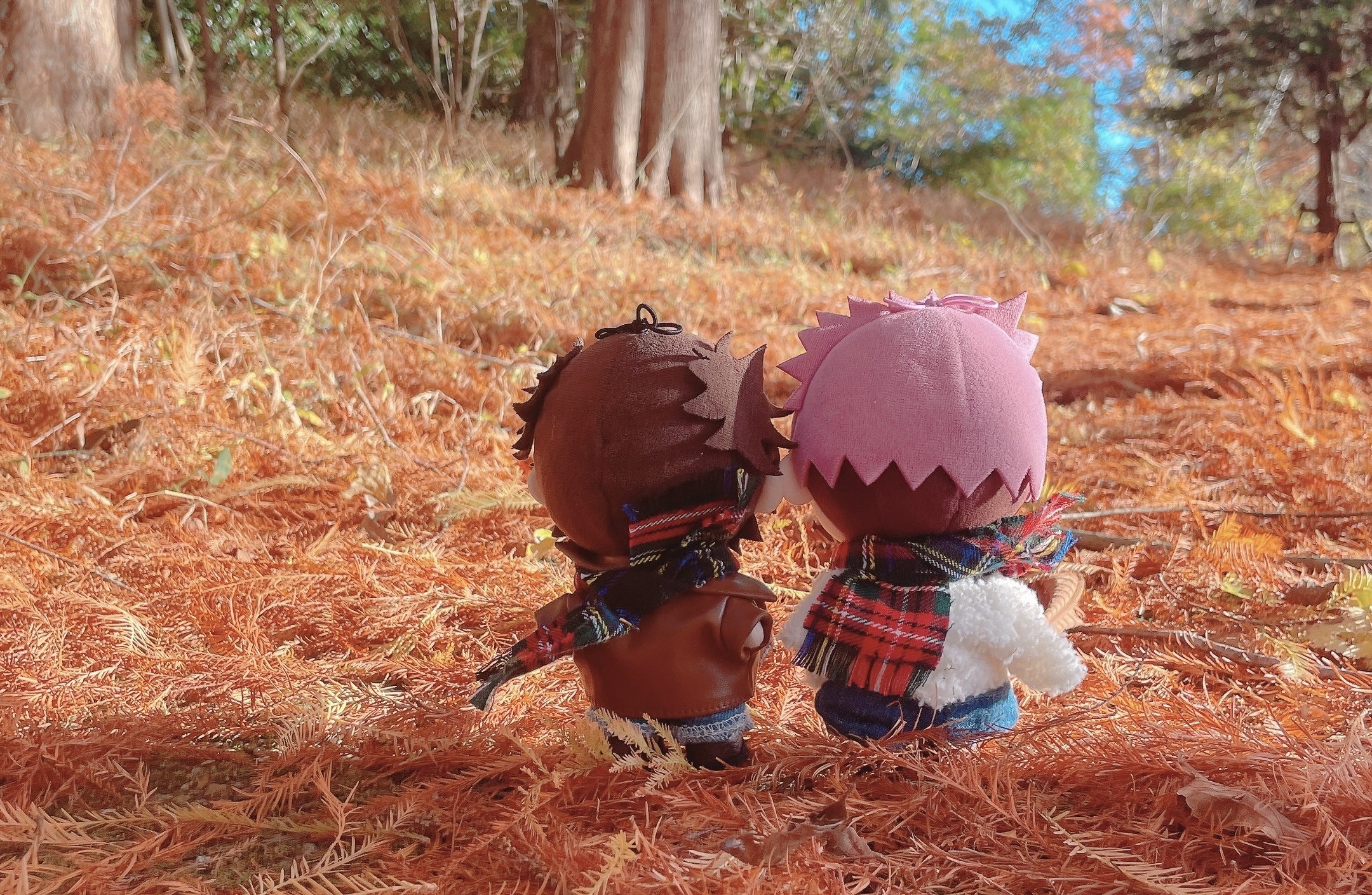 かぼちゃびれっじ