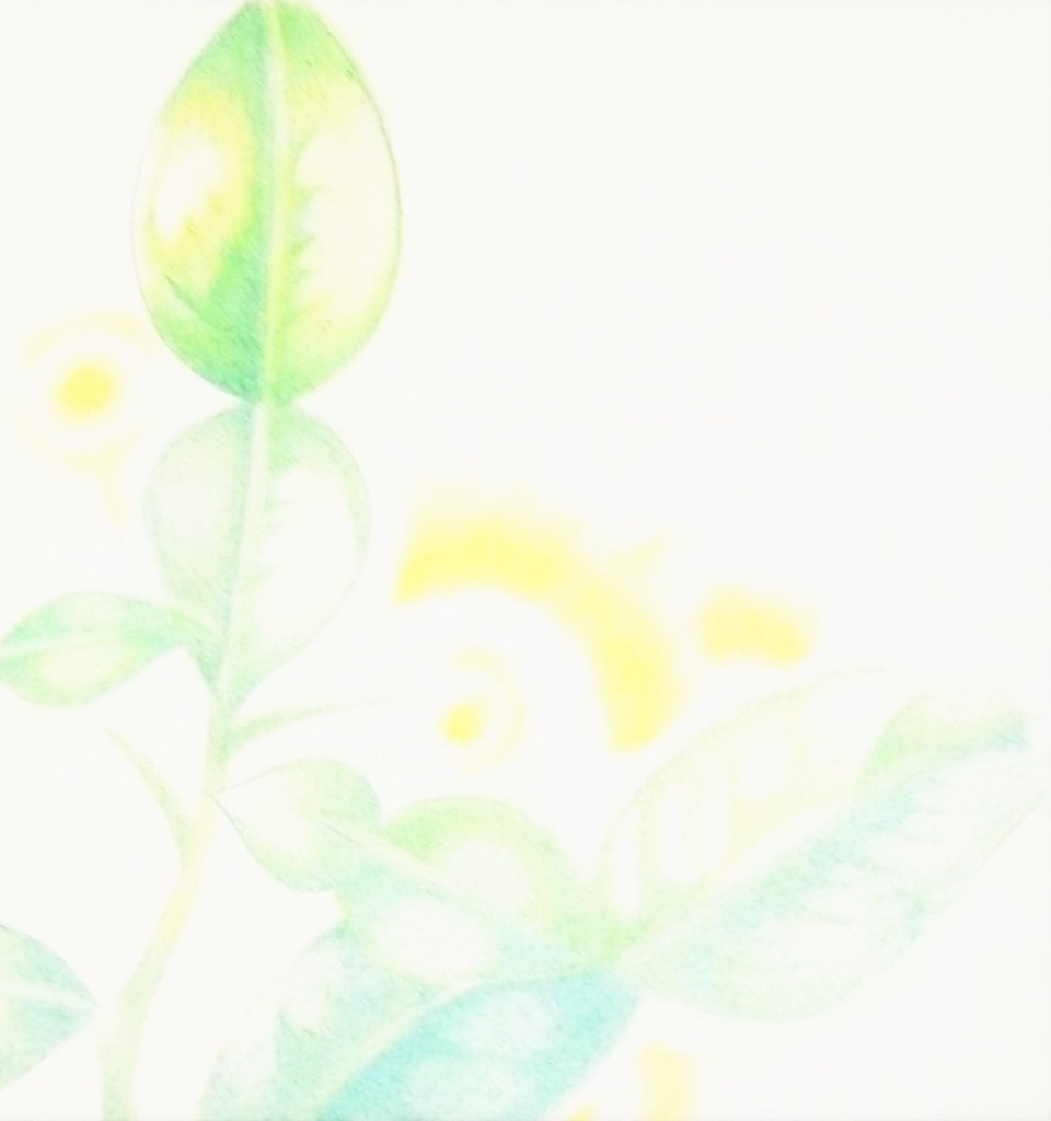 カフェライムリーフ