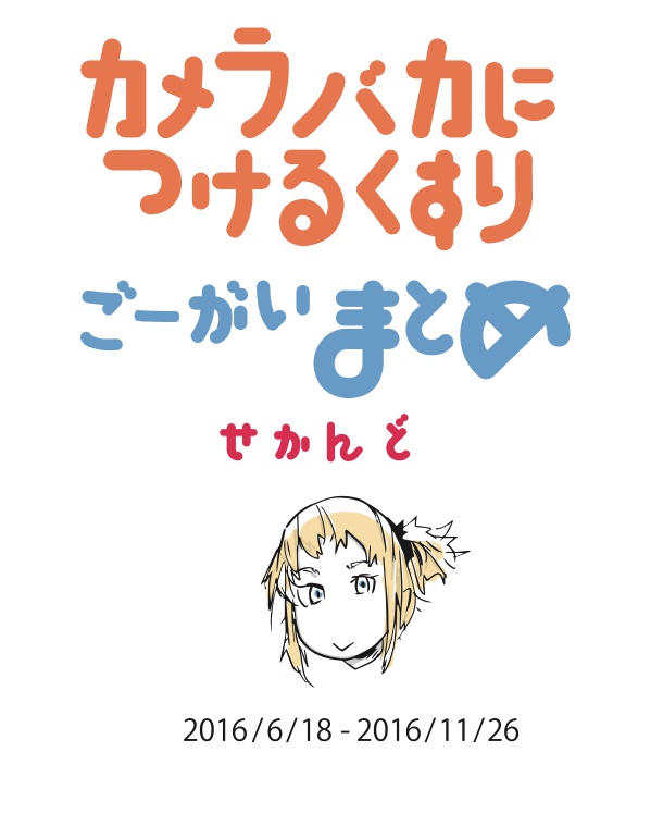 カメラバカにつけるくすり ごーがいまとめせかんど