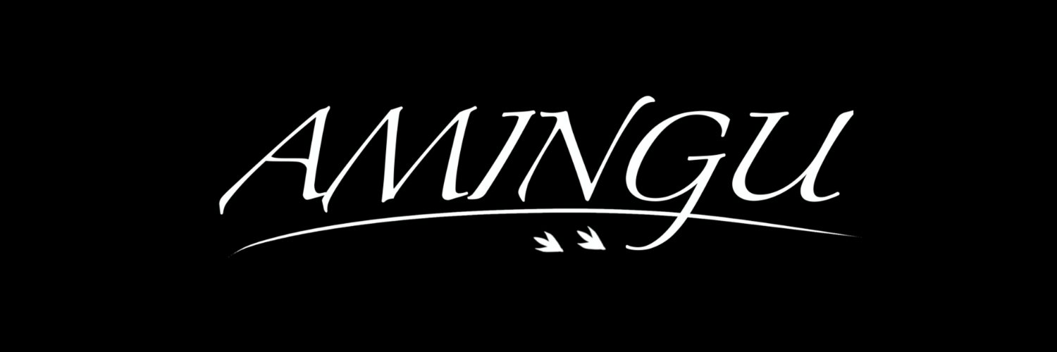 AMINGU 