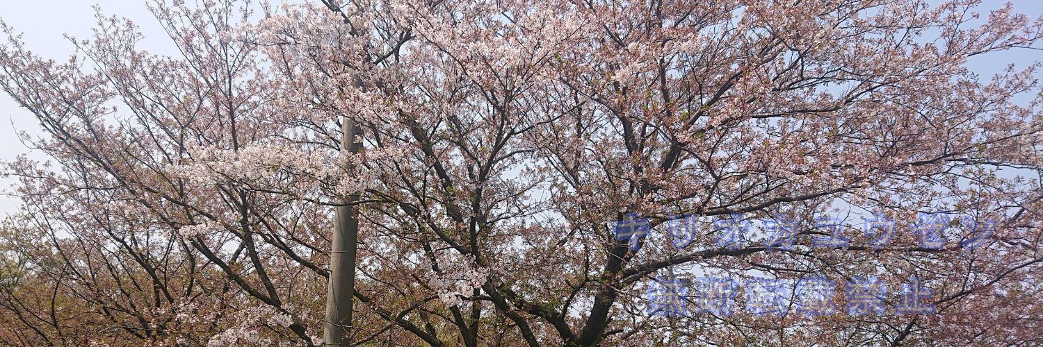 とある日常の写真素材展示会場