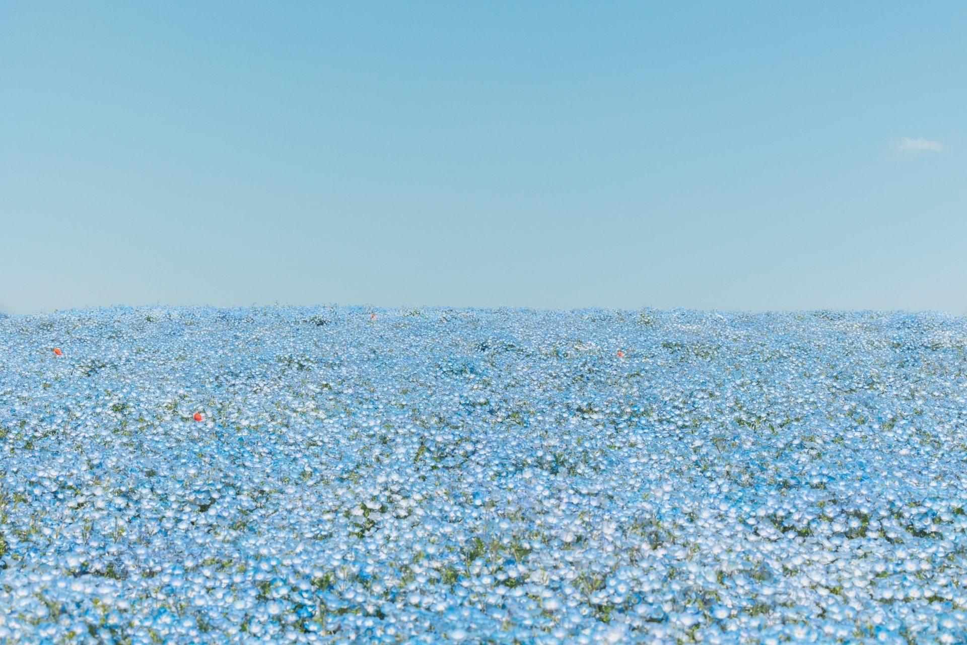 深海茶家