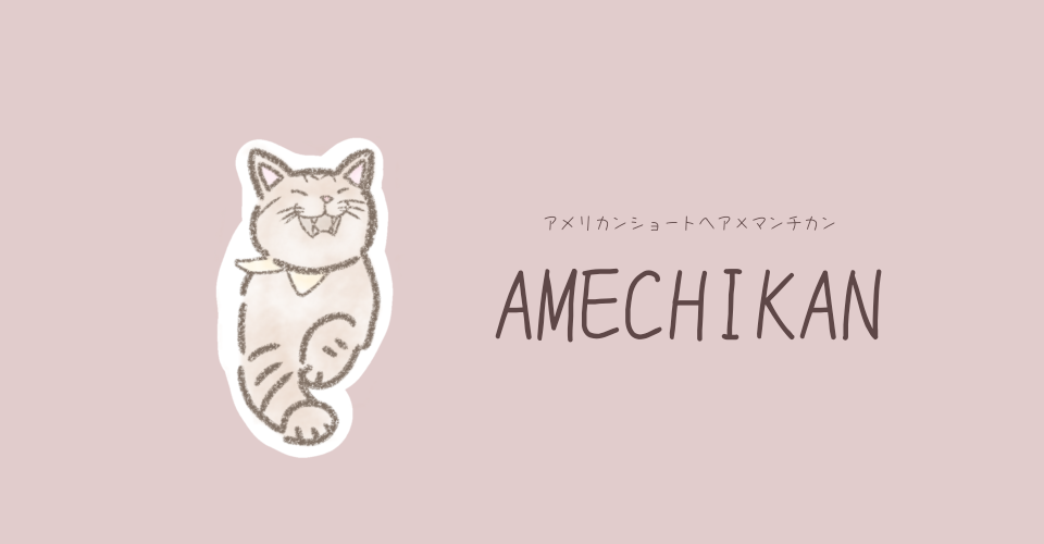 AMECHIKAN【アメショ✕マンチカン】