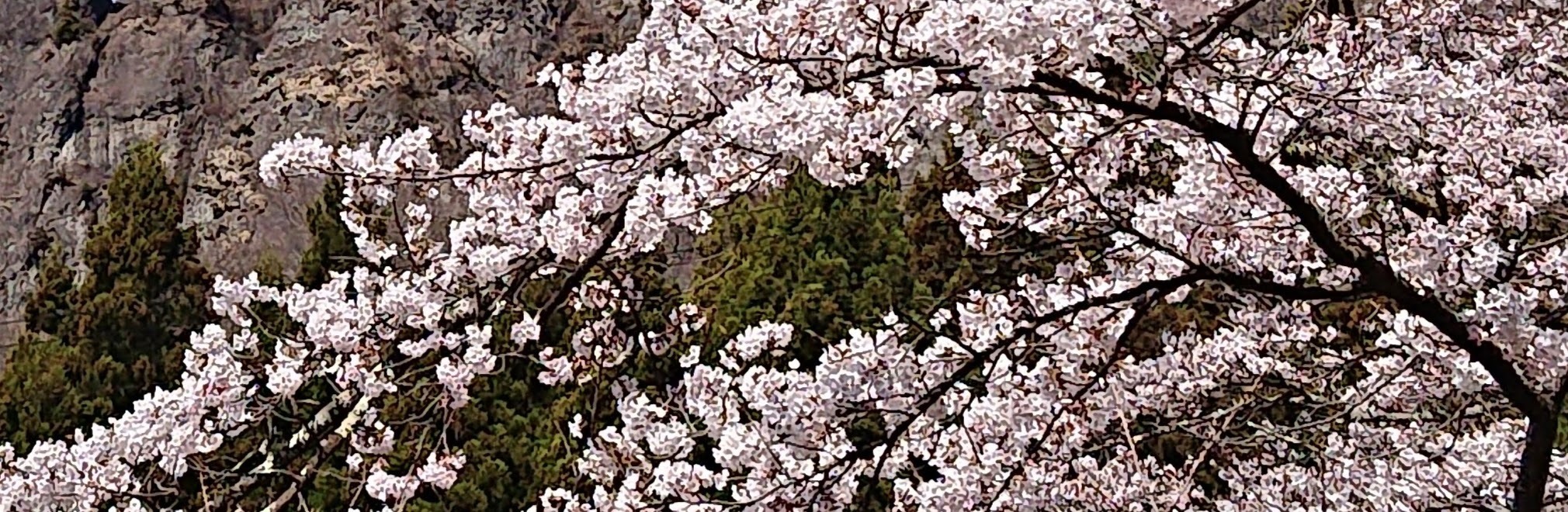 うりはり