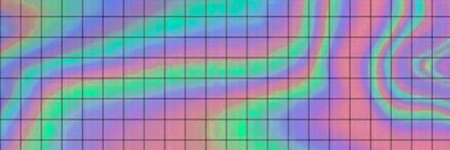 🌈🌷🦋楽園チャチャチャ🦋🌷🌈