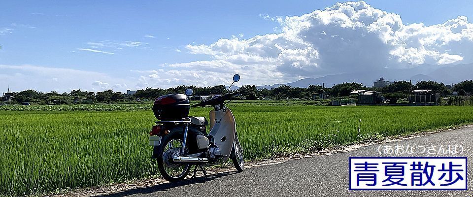 青夏散歩