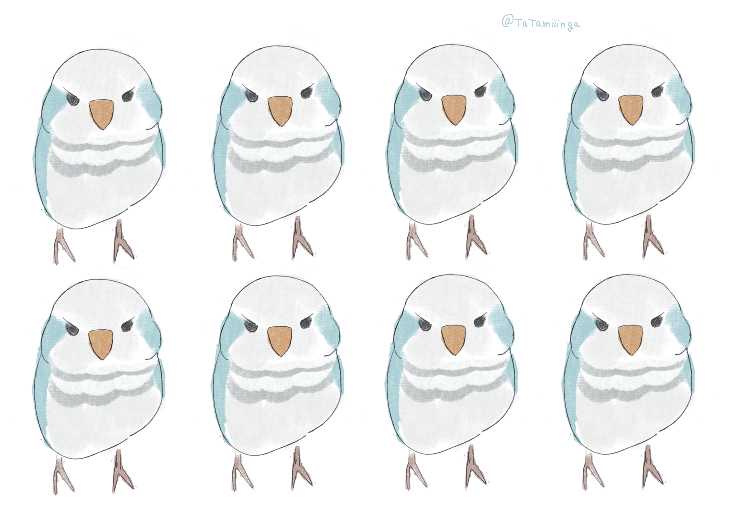 セミみみみ