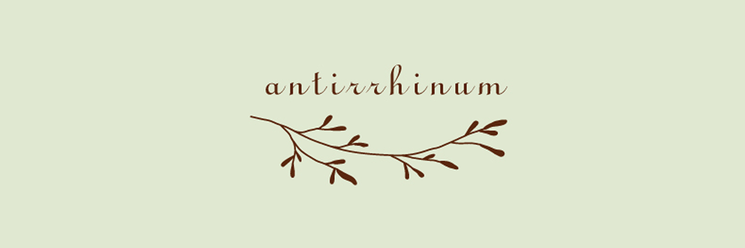 antirrhinum