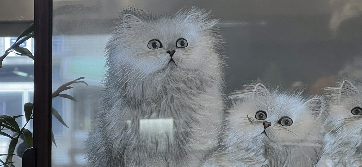 𝟎𝖅𝕺𝕹𝕰𝟎