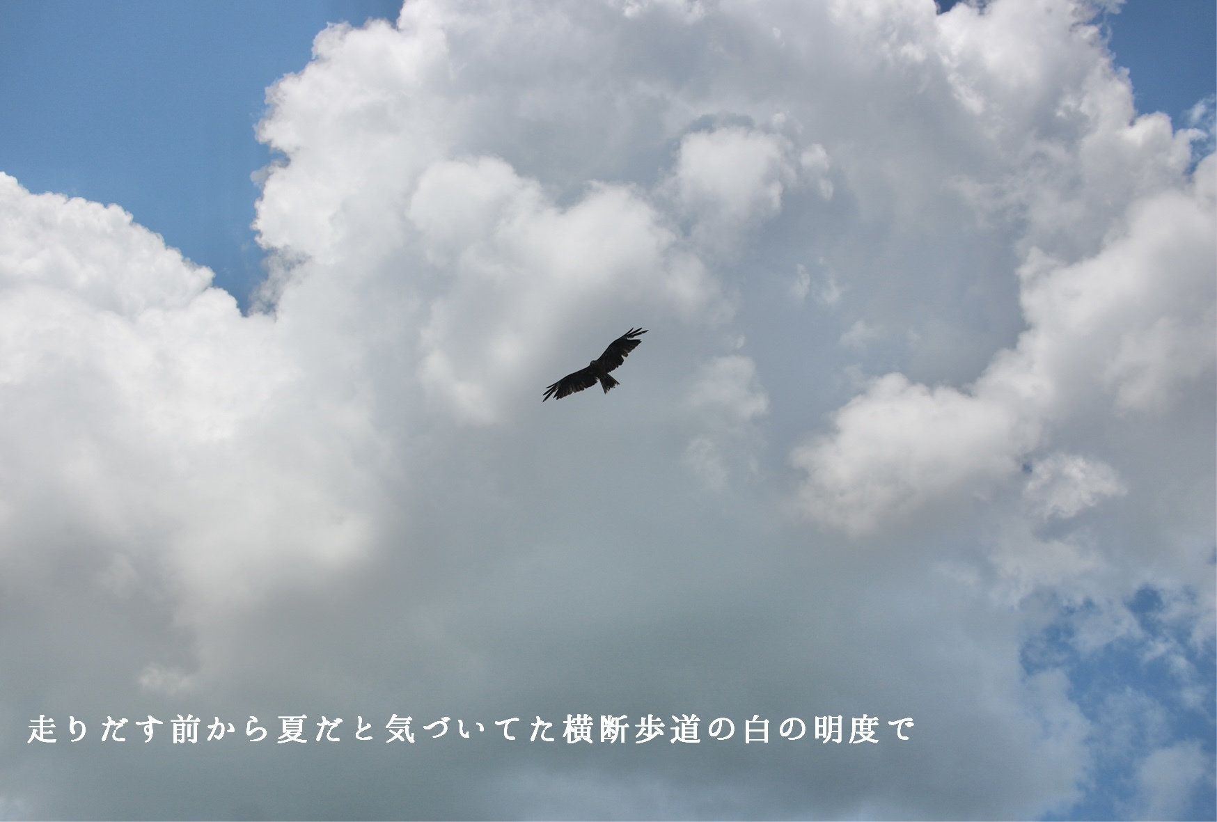 ゴトウアヤカ/御燈 肖
