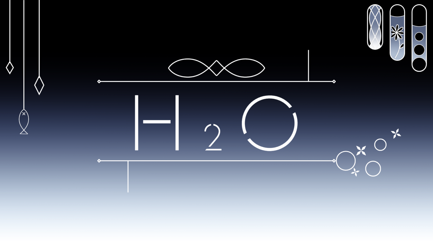 H₂O