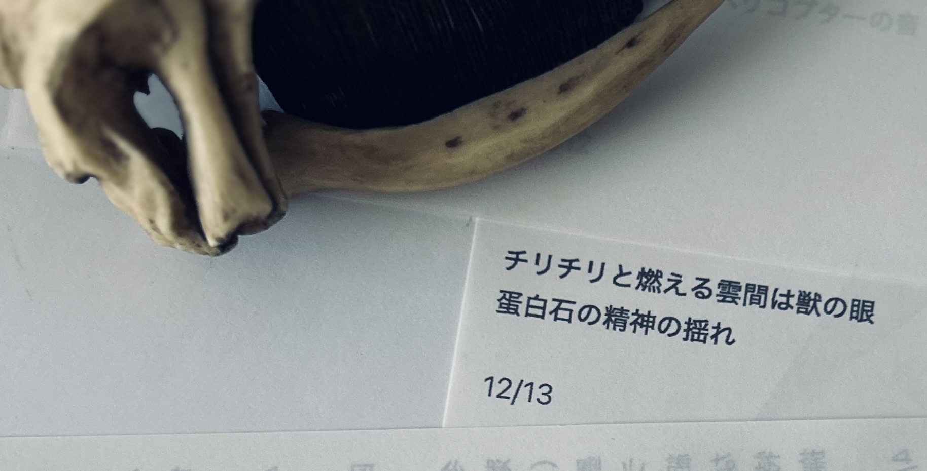 sawa