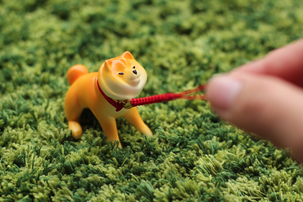 【7月発送・予約】散歩から帰りたくない柴犬フィギュア(塗装済み完成品)
