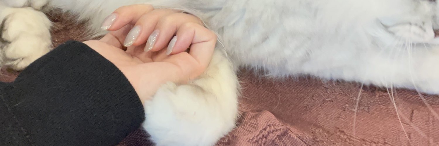 enginyaaan enginyaaan