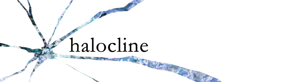 halocline