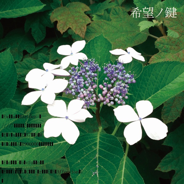 希望ノ鍵