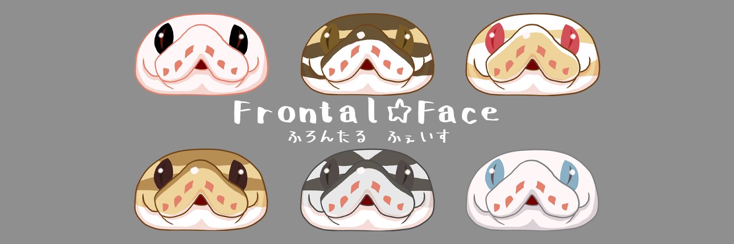 Frontal ☆ Face