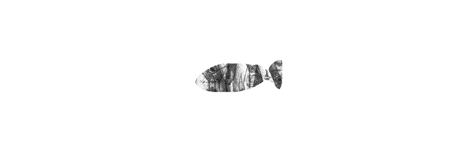 鮮魚墓地