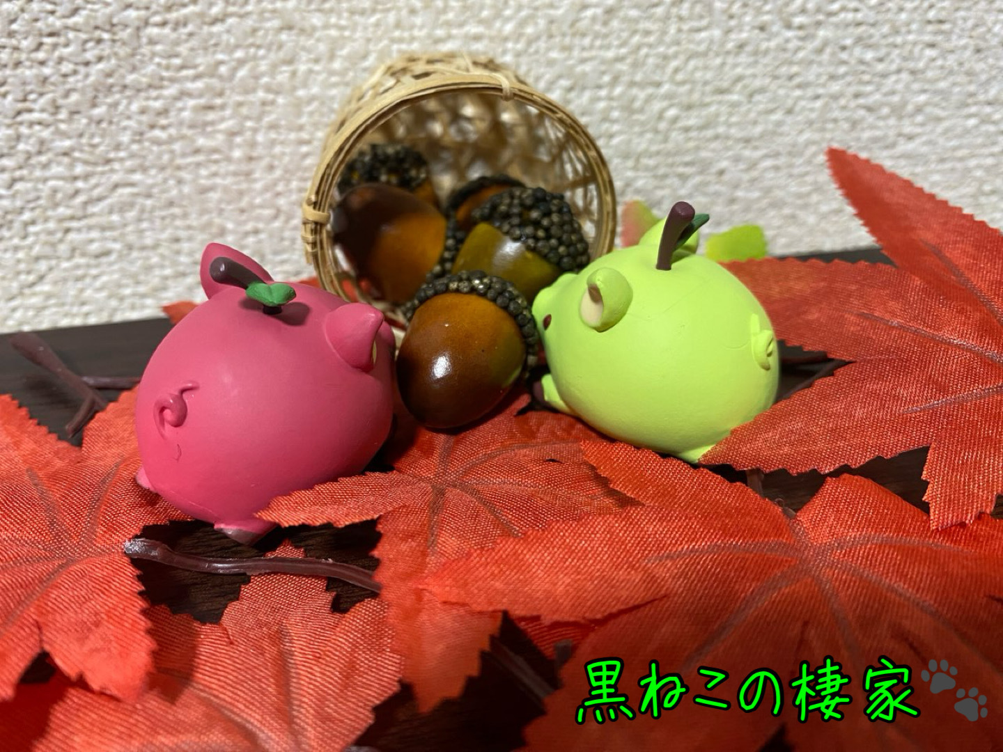 黒ねこの棲家🐾