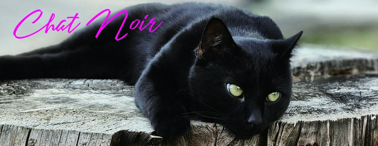 Chat Noir