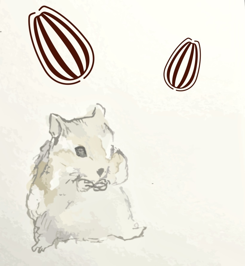 かわいいの秘密基地