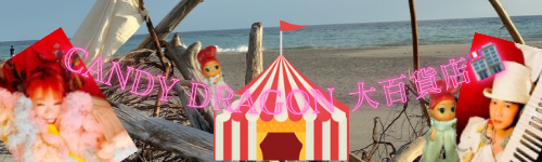 CANDY DRAGON大百貨店🏬公式✨