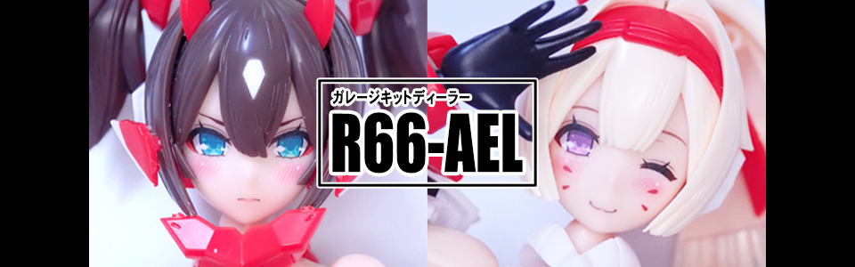 R66-AEL