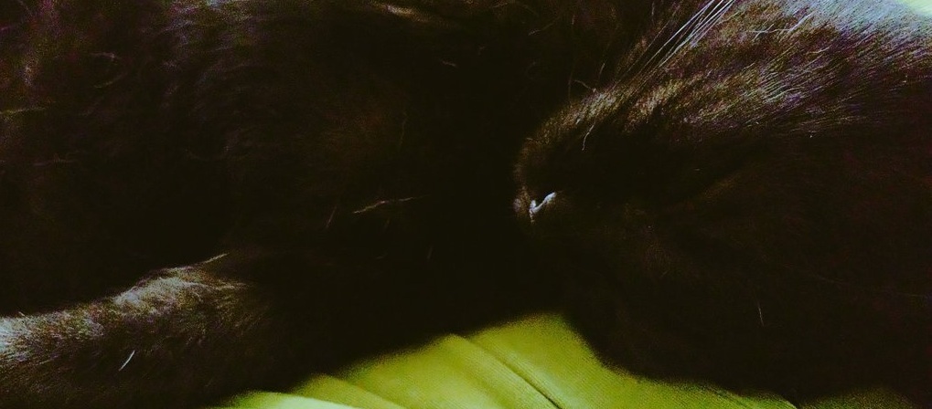 ポータロ・プロトタイピング