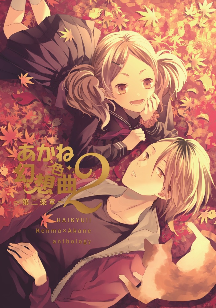 Hq 孤爪研磨 山本あかね アンソロジー あかね色幻想曲 第二楽章 A Life On Line Booth