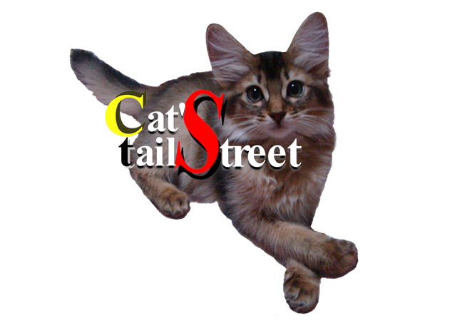 Cat's tail-street