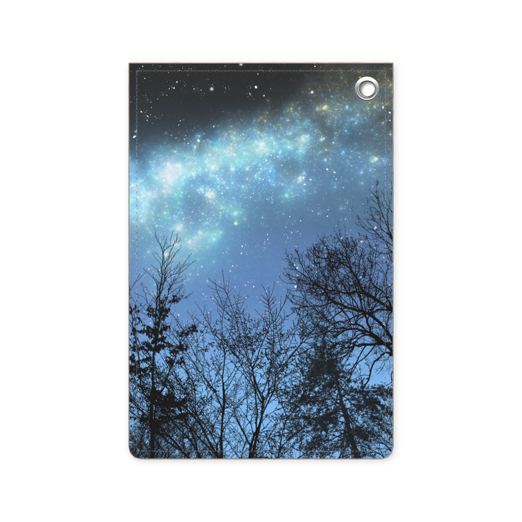 静寂の夜空