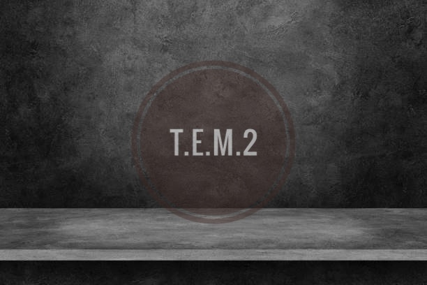 T.e.M.245